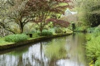 Mill stream at Docton Mill garden in April