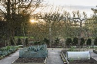 Formal vegetable garden of raised beds surrounded by espaliered fruit trees at Ivy Croft in January