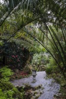 Japanese stone lantern in hidden garden beneath palms