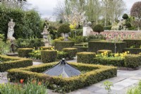 View across the Howdah Garden with low clipped hedges of Box with Box cubes on the corners of flower beds. April. Spring