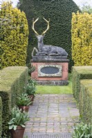 The Stag on pedestal with Golden Yew and Yew hedges. April. Spring. 