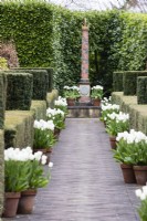 Avenue leading to the Elizabeth I and II crowned column, lined with terracotta pots planted with Tulipa 'Virgin Queen' and contained by hedges of clipped Yew. April. Spring. 