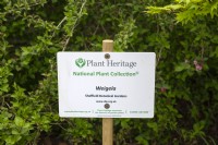 Sign for Plant Heritage National Plant Collection - Weigela - Sheffield Botanical Gardens. Graphics NCCPG